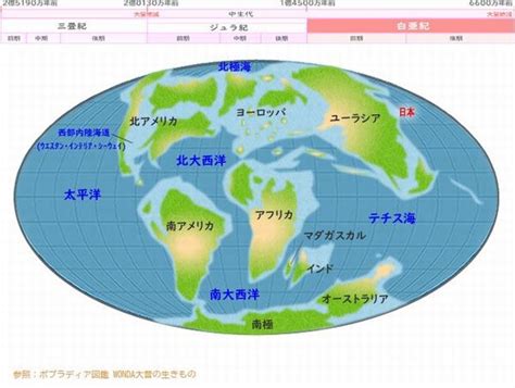 6600万年前の横浜 .